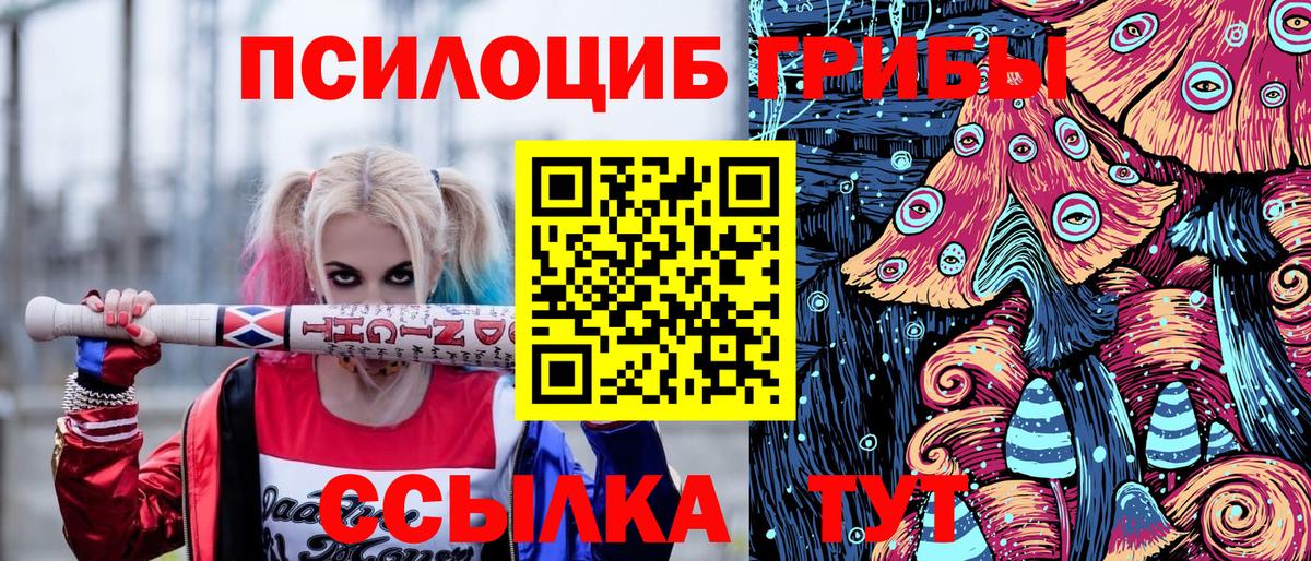 Псилоцибиновые грибы мицелий  Вход с VPN  Йошкар-Ола  Псилоцибиновые грибы Psilocybine cubensis 